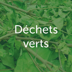 Déchets verts