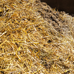 Recyclage des litières animales